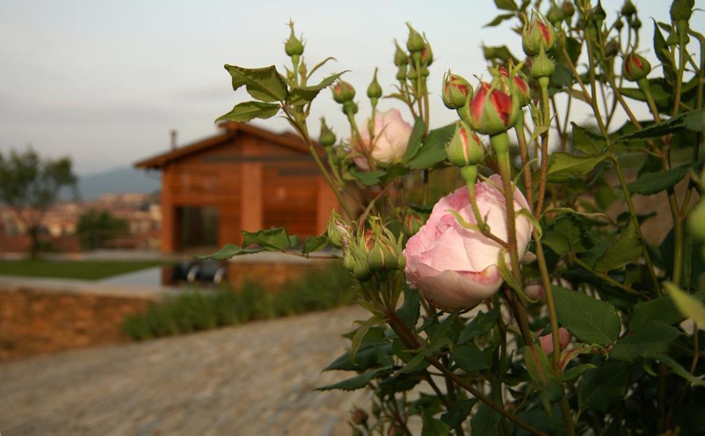 Residenza La Beccata Villa Pinerolo Exterior photo